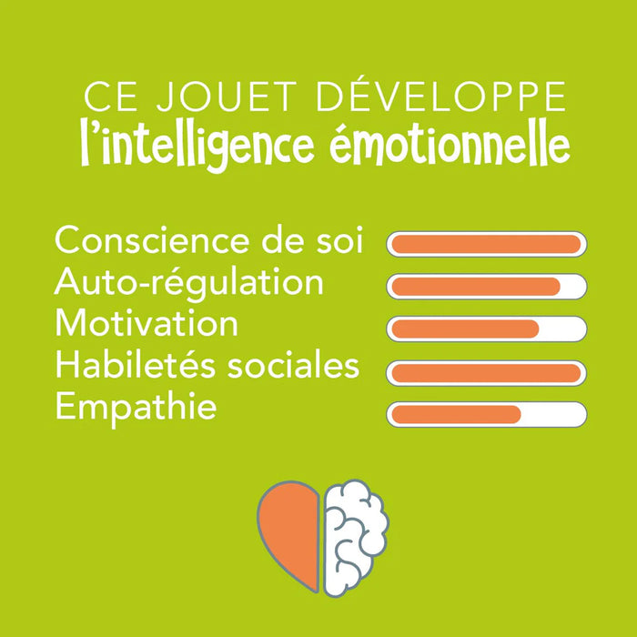 FDMT My Emotions Wheel Puzzle - FRENCH Version