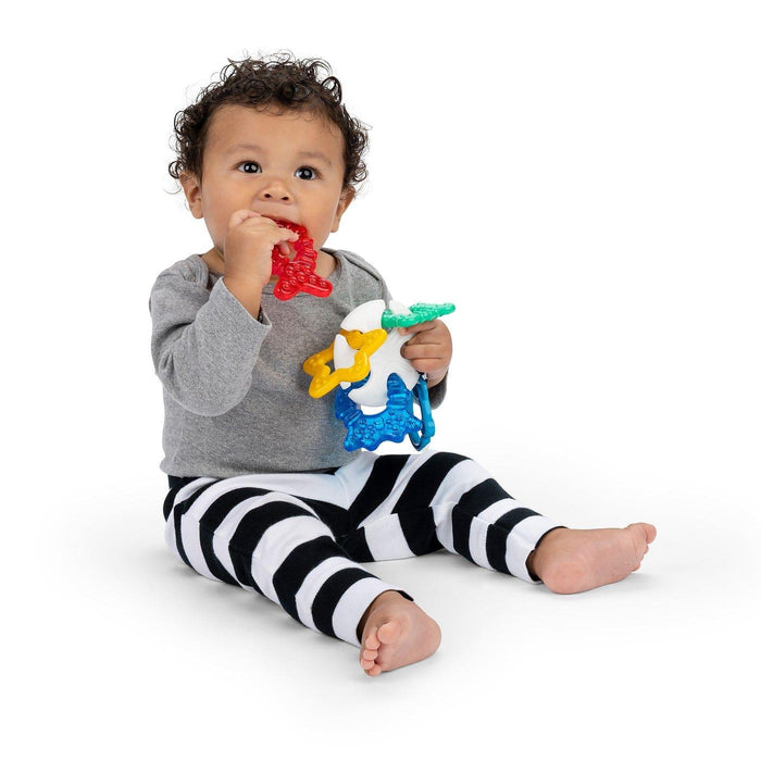 Baby Einstein® - Baby Einstein Sea of Sensory™ Teether Toy