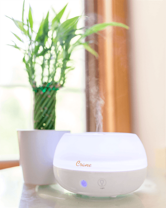 Crane - Crane 2-in-1 Ultrasonic Cool Mist Personal Humidifier & Aroma Diffuser, 0.2 Gallon - White