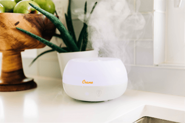 Crane - Crane 2-in-1 Ultrasonic Cool Mist Personal Humidifier & Aroma Diffuser, 0.2 Gallon - White