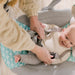 Ingenuity® - Ingenuity™ - Newborn, Baby - Ity by Ingenuity™ Swingity Swing™ Easy-Fold Portable Swing – Goji™