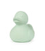 Oli & Carol - Oli & Carol Small Ducks Monochrome Mint