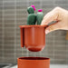 Boon® - Boon Cacti Bottle Cleaning Brush - Brown