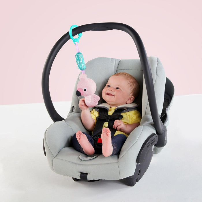 Bright Starts® - Bright Starts Chime Along Friends - On-the-Go - Flamingo