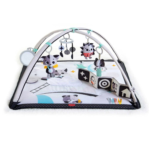 Tiny Love® - Tiny Love Gymini Activity Gym - Magical Tales Black and White
